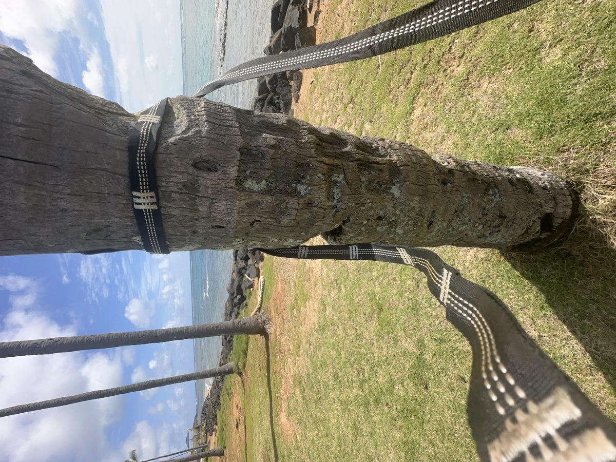 Partner FlowStrap practice